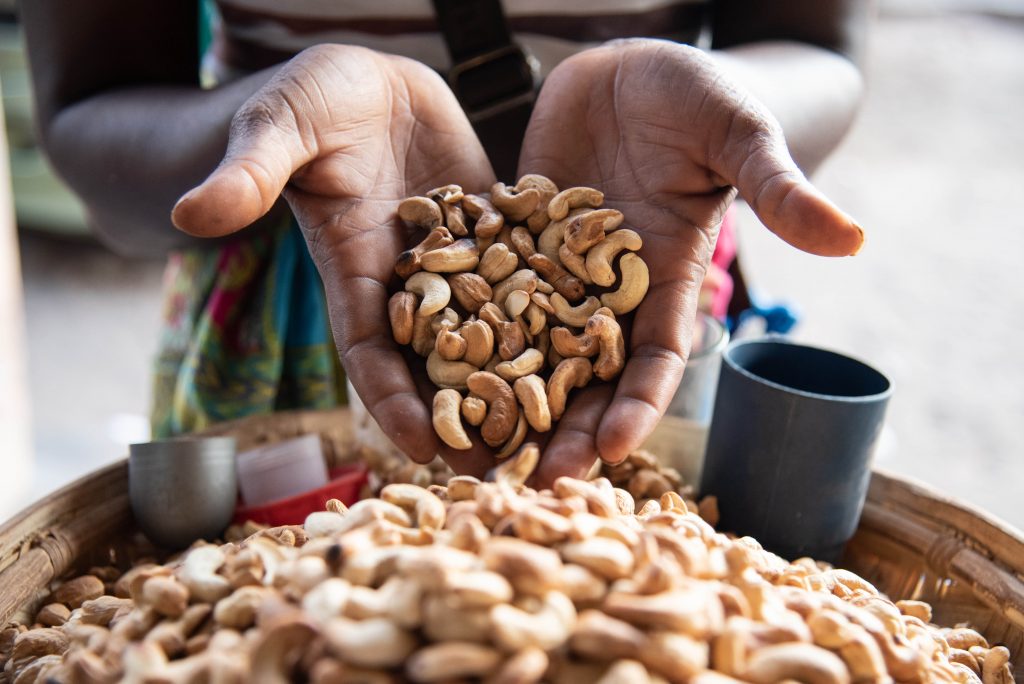 Cashew nut production in Zambézia reaches 50 tons per year