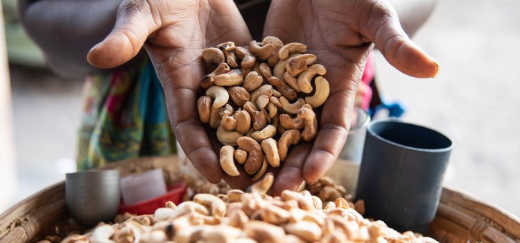 Cashew nut production in Zambézia reaches 50 tons per year